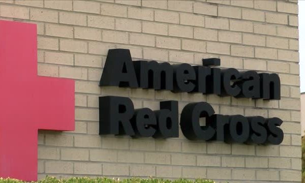 Red Cross Interview_20151008124808