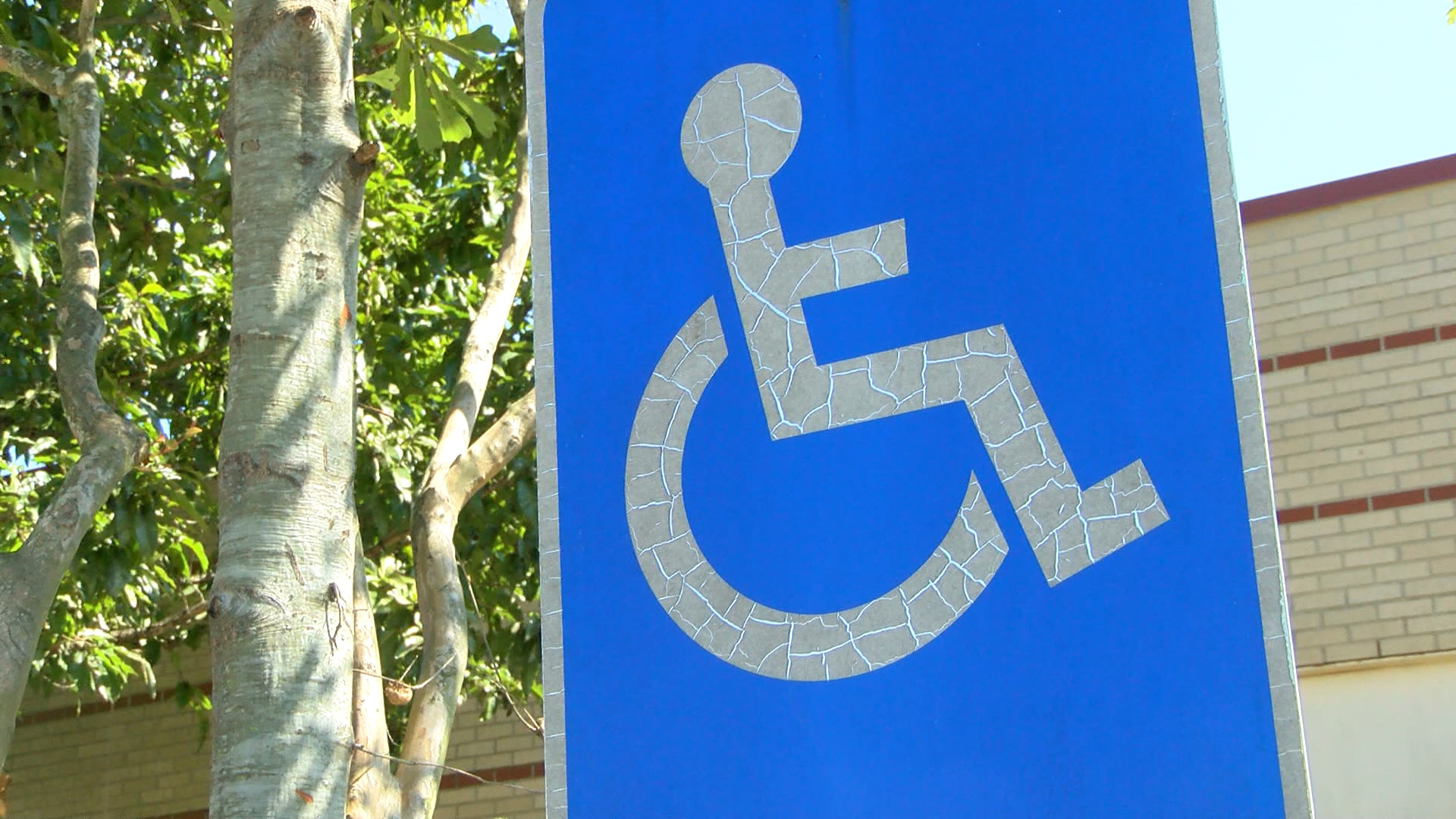 HANICAP 3_1443737000023.jpg