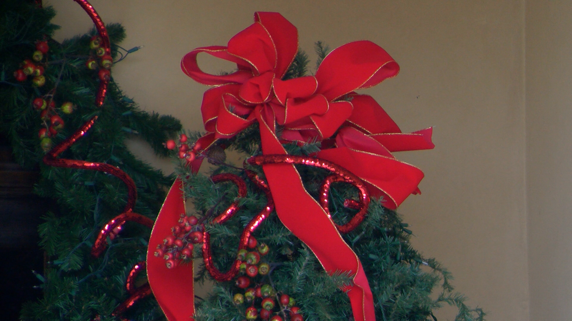 christmas tree recycling_1451081576406.jpg