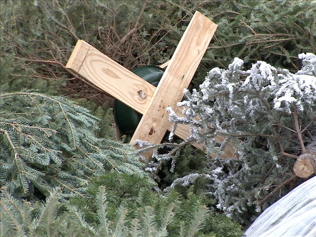 christmas_tree_recyle_generic_mgn_20150327172843