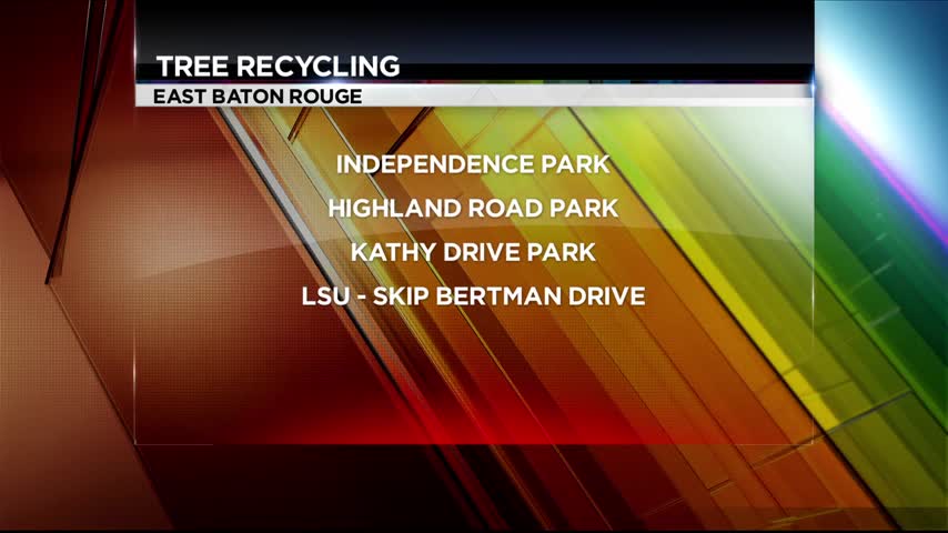 Christmas tree recycling in Baton Rouge_20160107134403