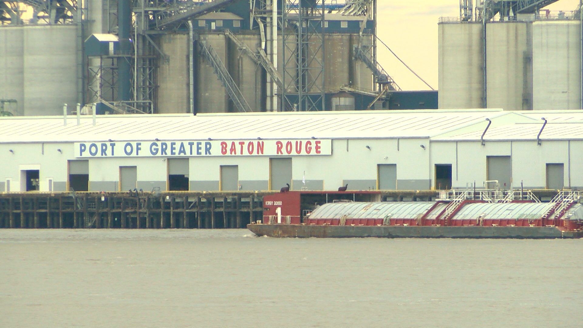 MS 2_1451689346422.jpg