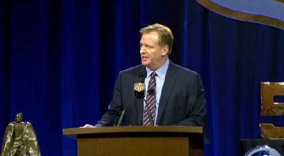Goodell_State_Of_The_city_address_1454715085162.JPG