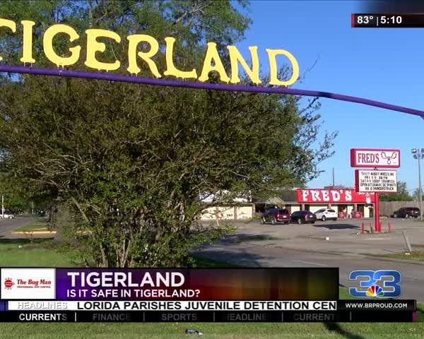 How Safe is Tigerland-_81330995-159532
