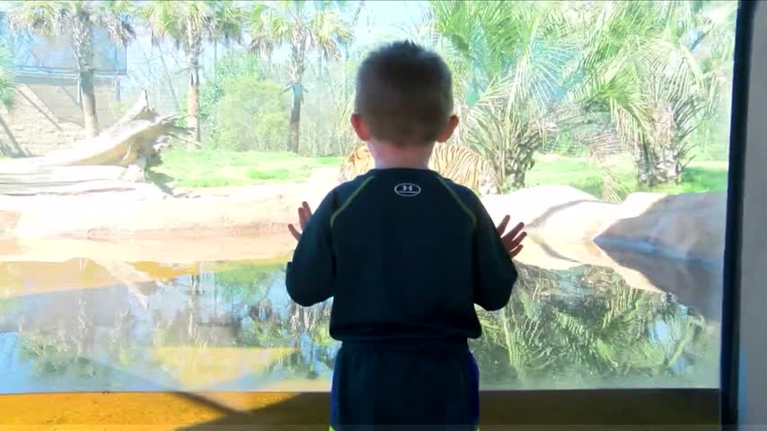 Petition pushes for federal investigation into the BR zoo_63642418-159532