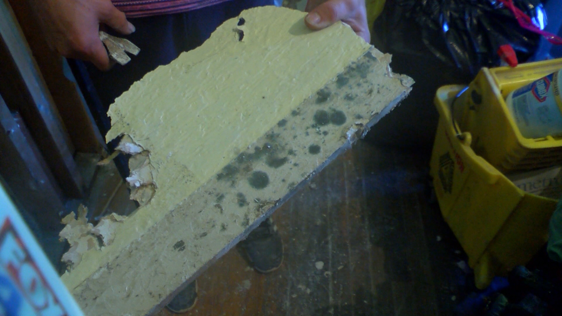 WOMEN'S WELLNESS _1472677368724.jpg