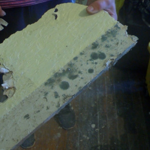 WOMEN'S WELLNESS _1472677368724.jpg