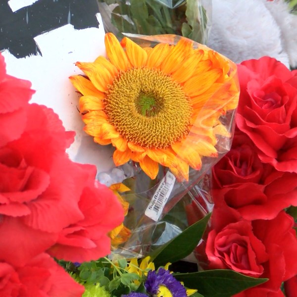 flowers _1470952146119.jpg