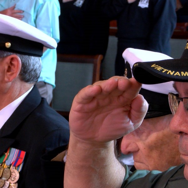 VETERANS DAY_1478899811489.jpg