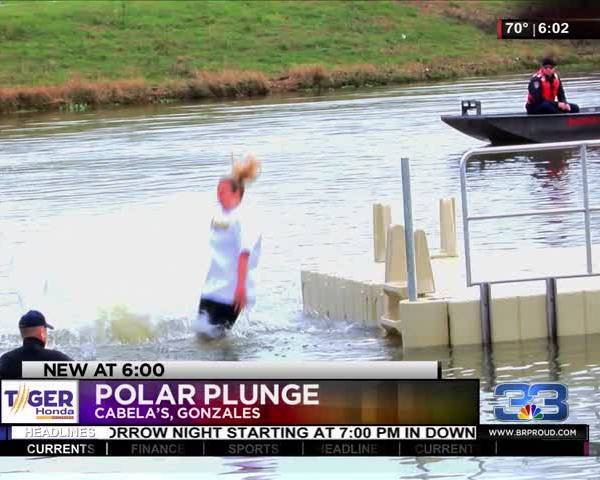2017 Polar Plunge