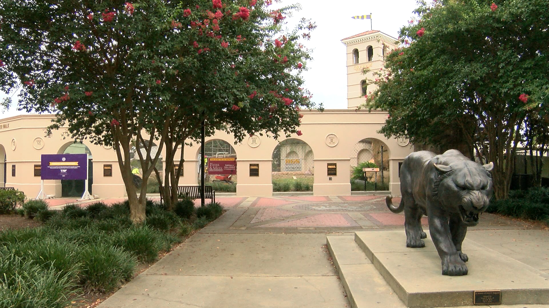 MIKE THE TIGER 1_1501710359666.jpg