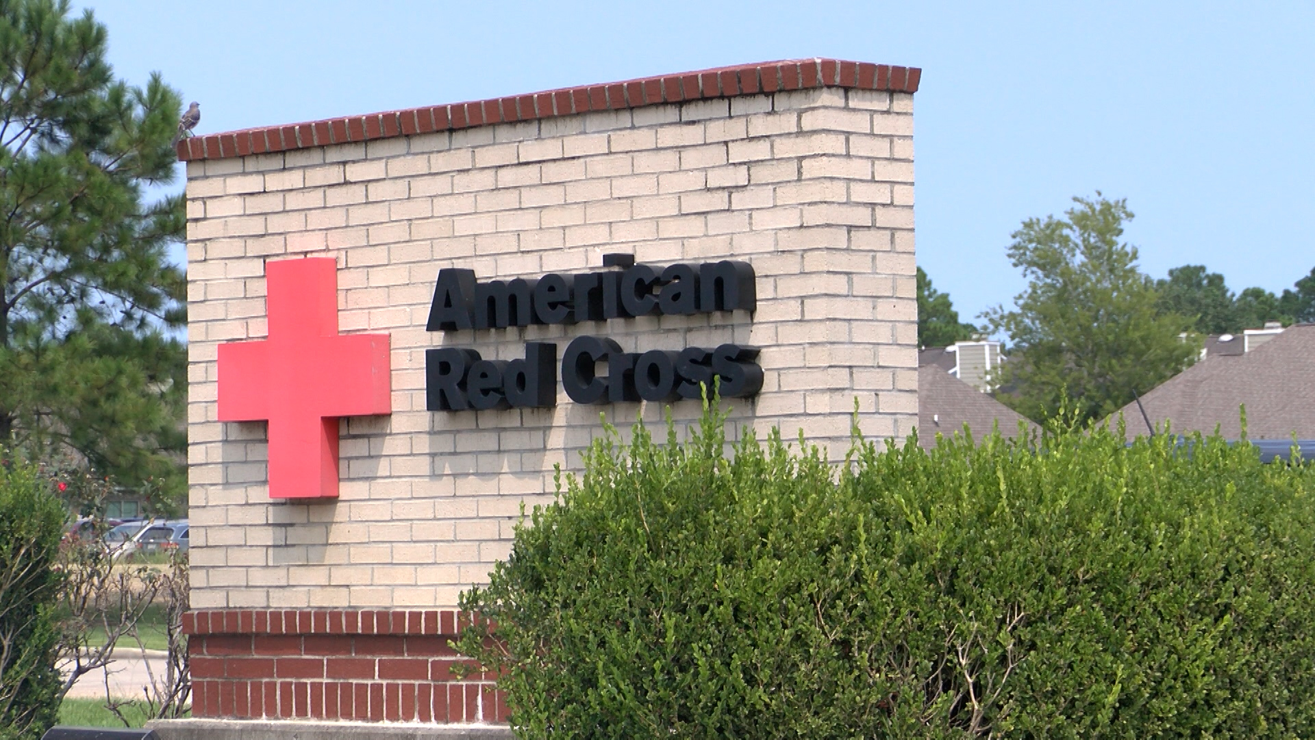 RED CROSS 3_1504726593241.jpg