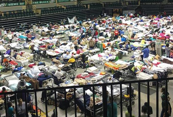 Full Shelter Tampa WFLA 720