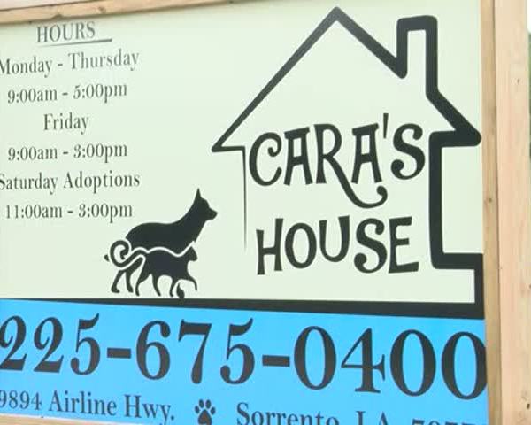 Cara's House Could Be Forced to Close its Doors