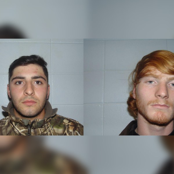 WHITE DEER THEFT_1515105709752.jpg.jpg