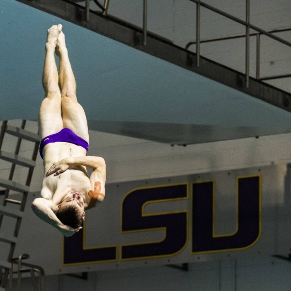 LSU Diving_1545096967398.jpg.jpg