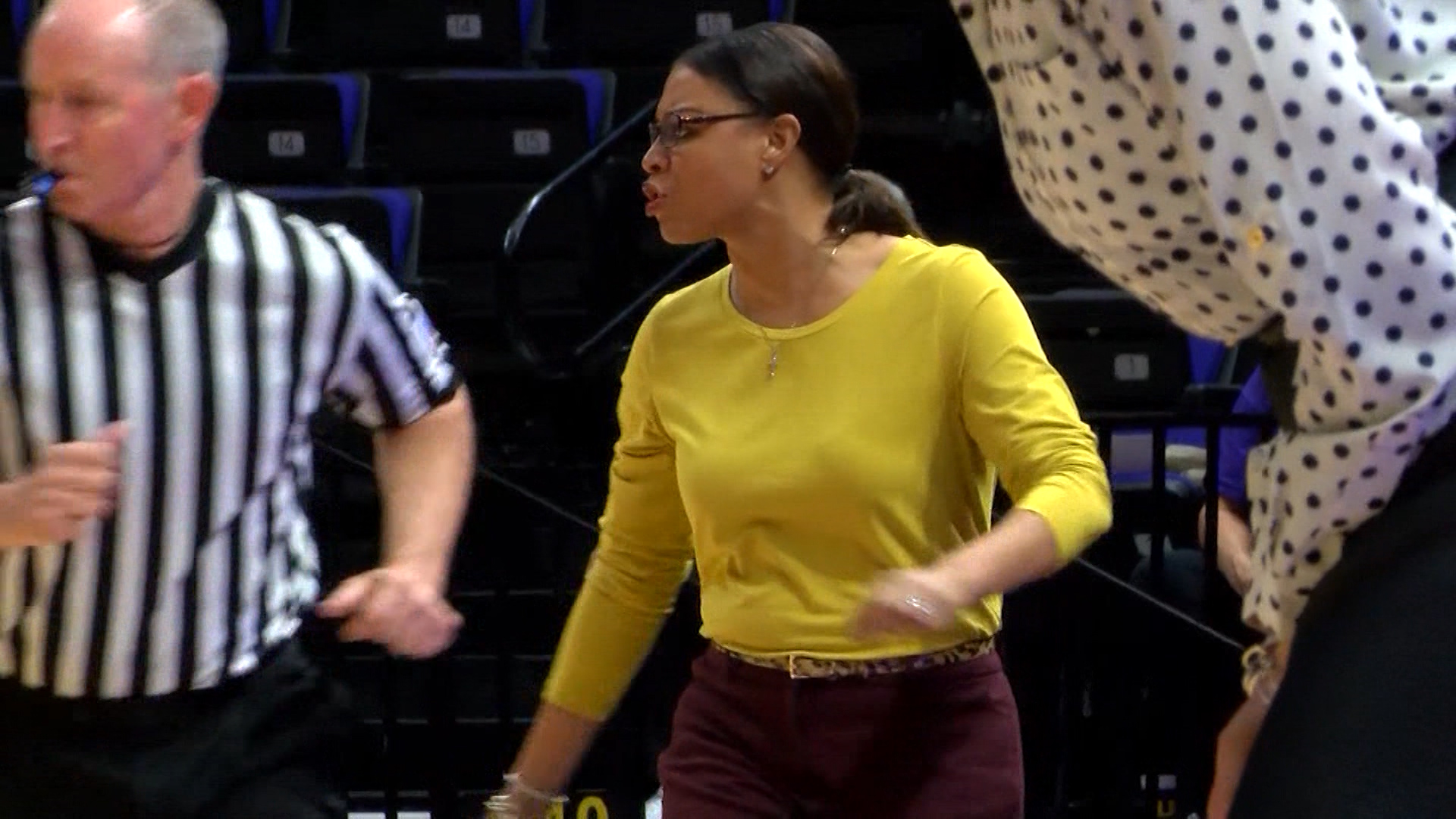 LSU WBB Head Coach Nikki Fargas