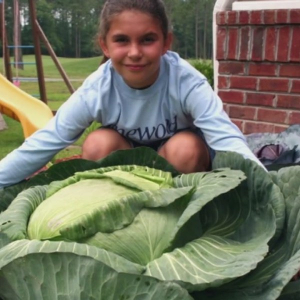 40-pound cabbage inspires 9-year-old to reduce food insecurity in the United States