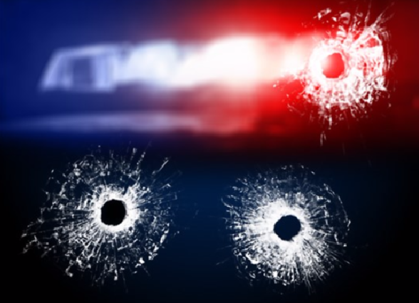 CRIME SHOOTING 2_1552269762583.PNG.jpg