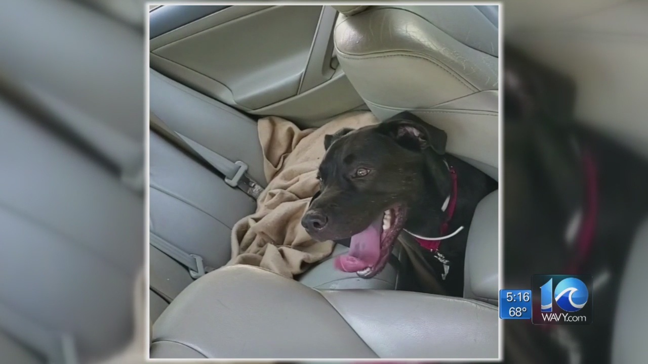 Chesapeake_man_car_breaks_window_to_save_0_20190506234712-873703993-873703993