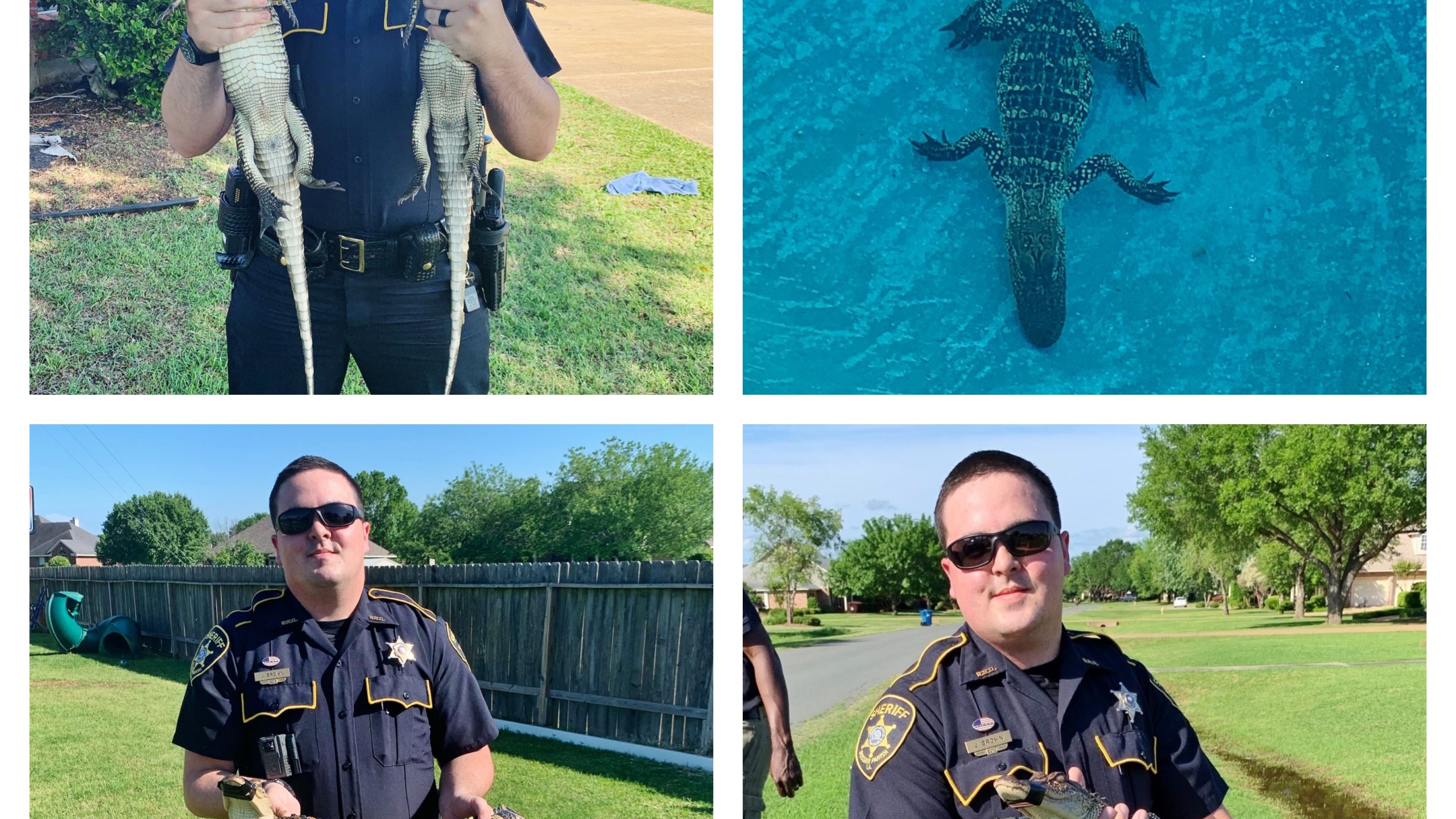 Gator collage 5-4-19_1556996827508.jpg-22991016.jpg