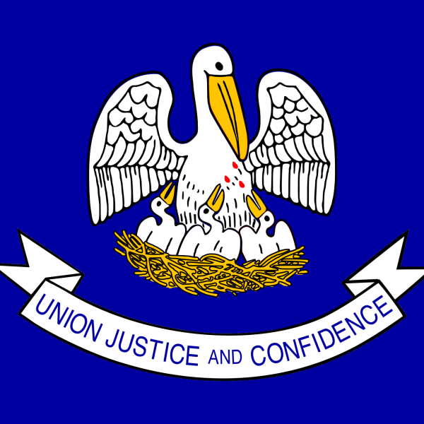 Louisiana_state_flag_1557851287564-22991016.png