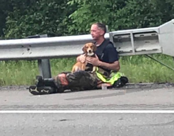 Lucky Dog_1558147071581.jpg-873703986.jpg