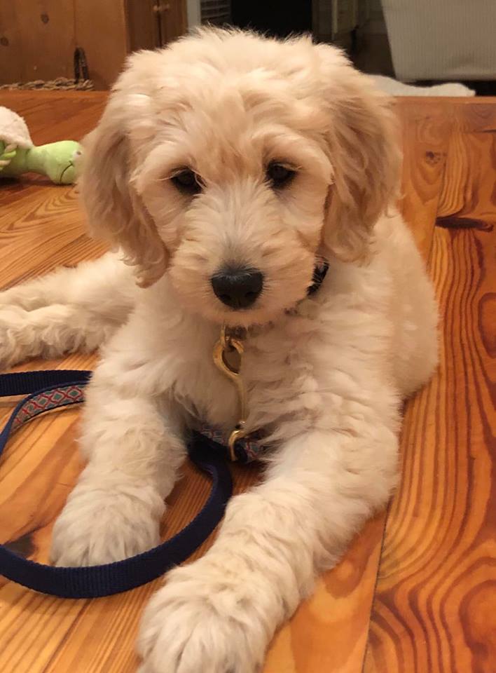 SANDY 1_1556751699891.jpg-842137442-842137442.jpg